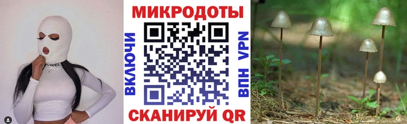 Галлюциногенные грибы прущие грибы  Лянтор 